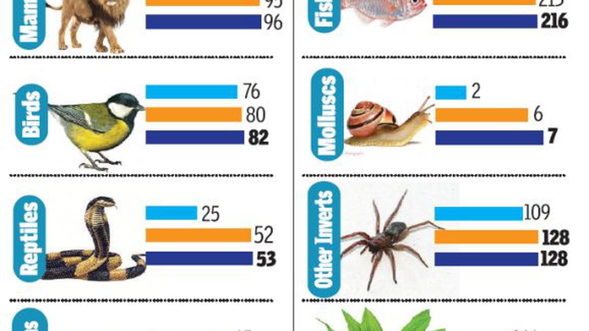 India has 988 species on IUCN ‘Red List’ - The Hindu